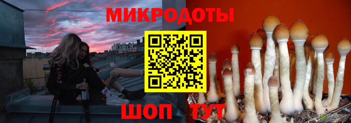 Кемерово  Галлюциногенные грибы ЛСД  Псилоцибиновые грибы Magic Shrooms  Вход с VPN 